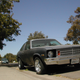 Illustration for article titled Look At These Carspotting Photos I Dug Up From My California Town Eight Years Ago